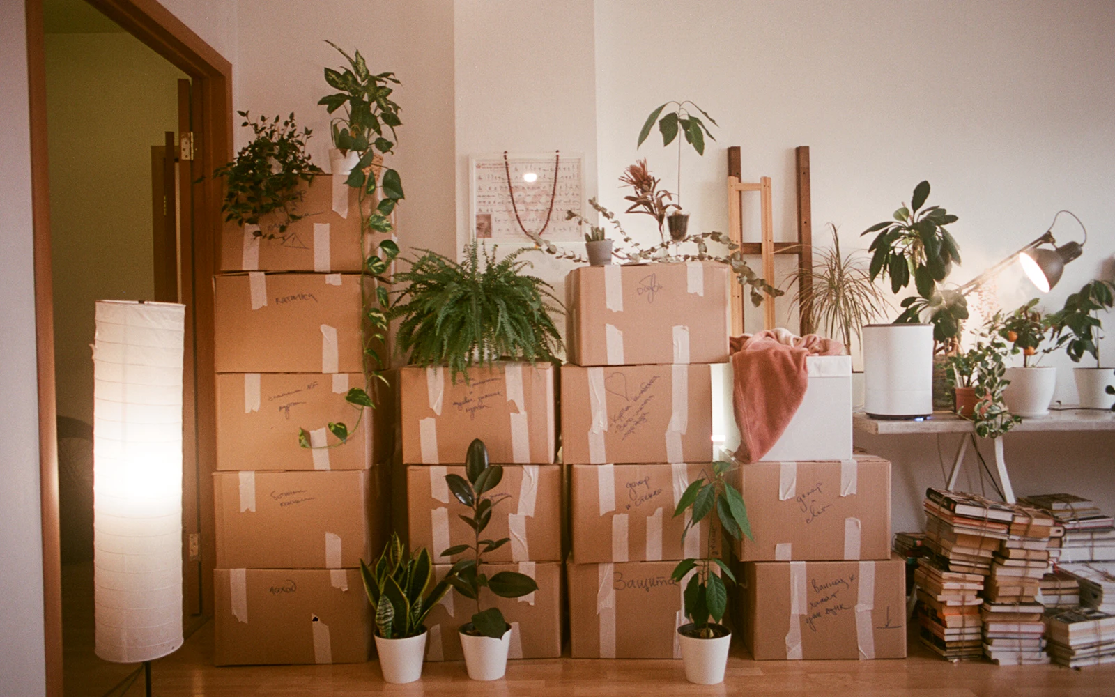 Cajas de cartón preparadas para una pequeña mudanza en Bilbao