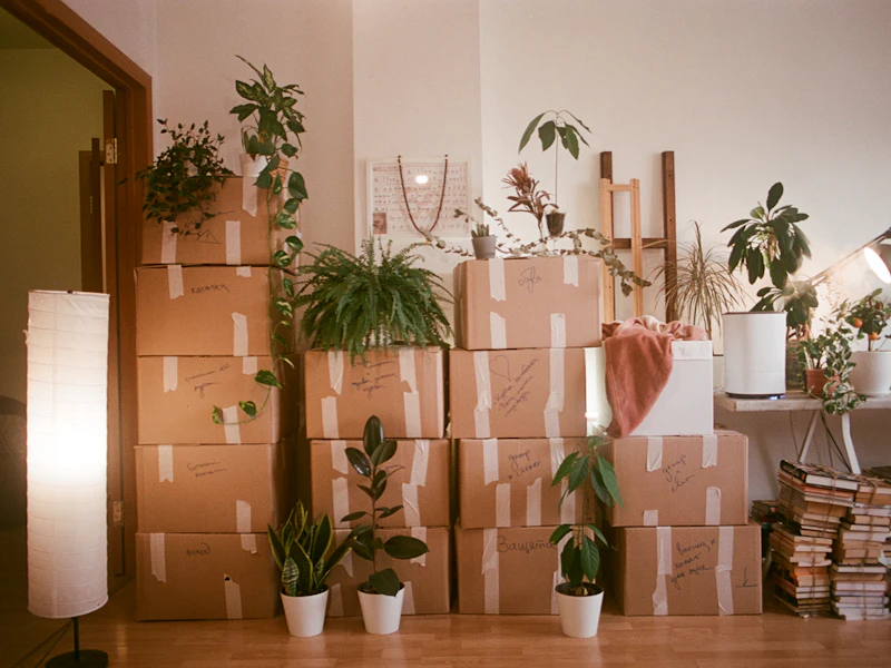 Cajas preparadas para un pequeño porte en Bilbao